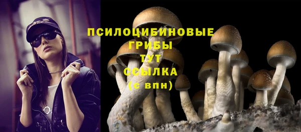 марки lsd Михайлов