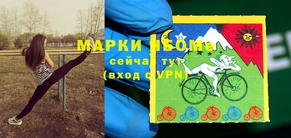 молекула духа Михайловск