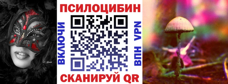 Галлюциногенные грибы мицелий  Чегем 